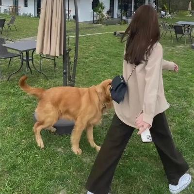 没有国籍的女人